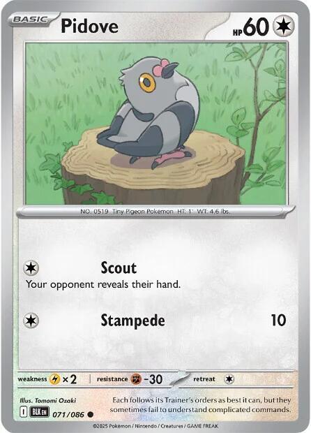 Pidove [SV: Black Bolt] 071/086