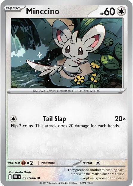 Minccino [SV: Black Bolt] 075/086