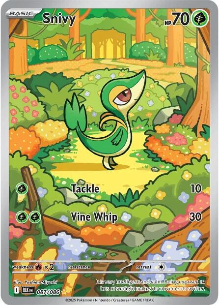 Snivy - 087/086 [SV: Black Bolt] 087/086