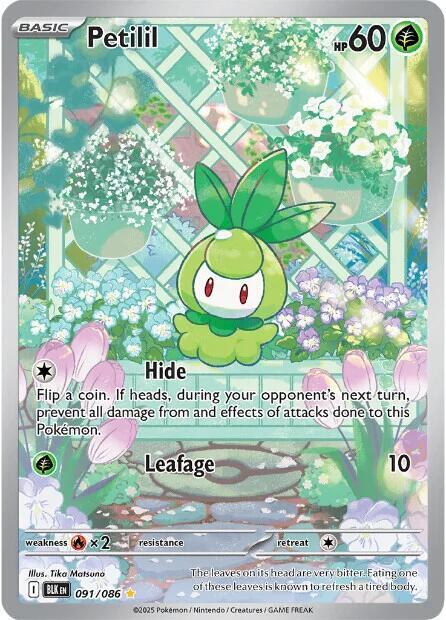 Petilil - 091/086 [SV: Black Bolt] 091/086