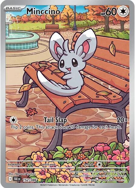 Minccino - 152/086 [SV: Black Bolt] 152/086