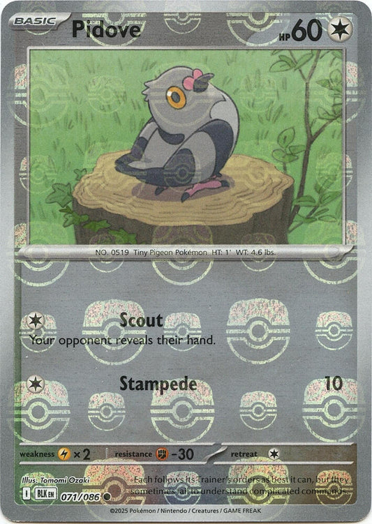 Pidove (Master Ball Pattern) [SV: Black Bolt] 071/086