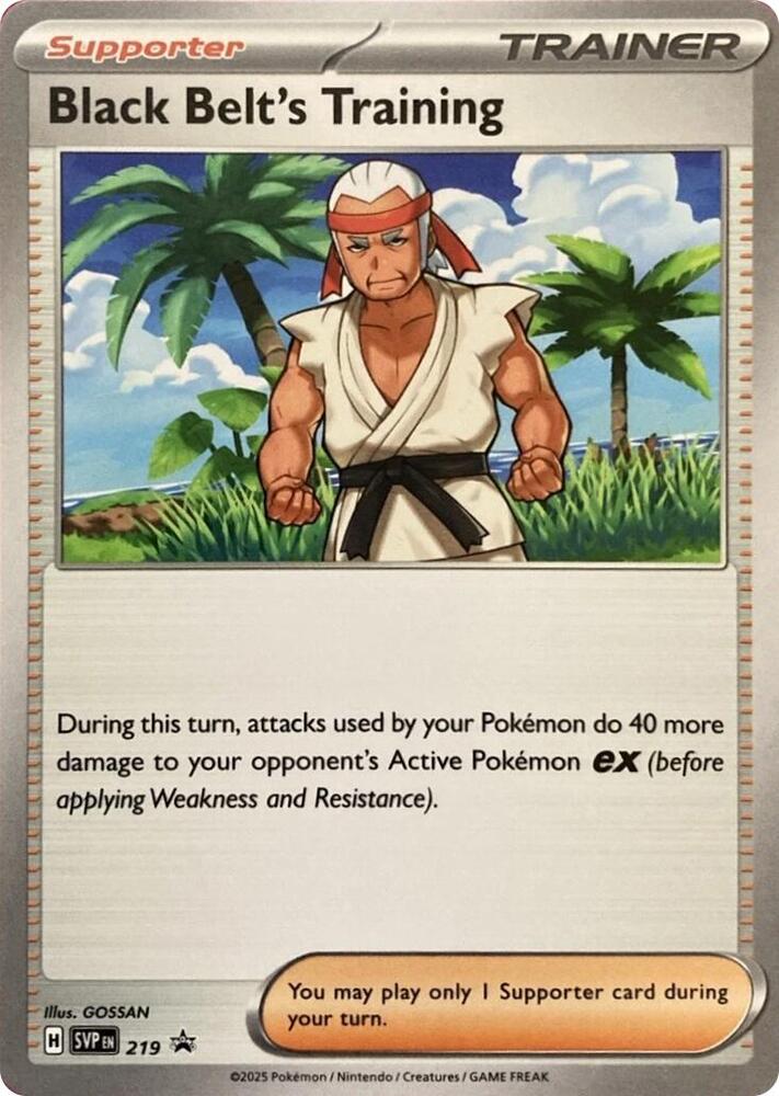Black Belt's Training - 219 [SV: Scarlet & Violet Promo Cards] 219