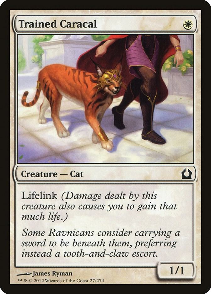 Trained Caracal [Return to Ravnica] 27
