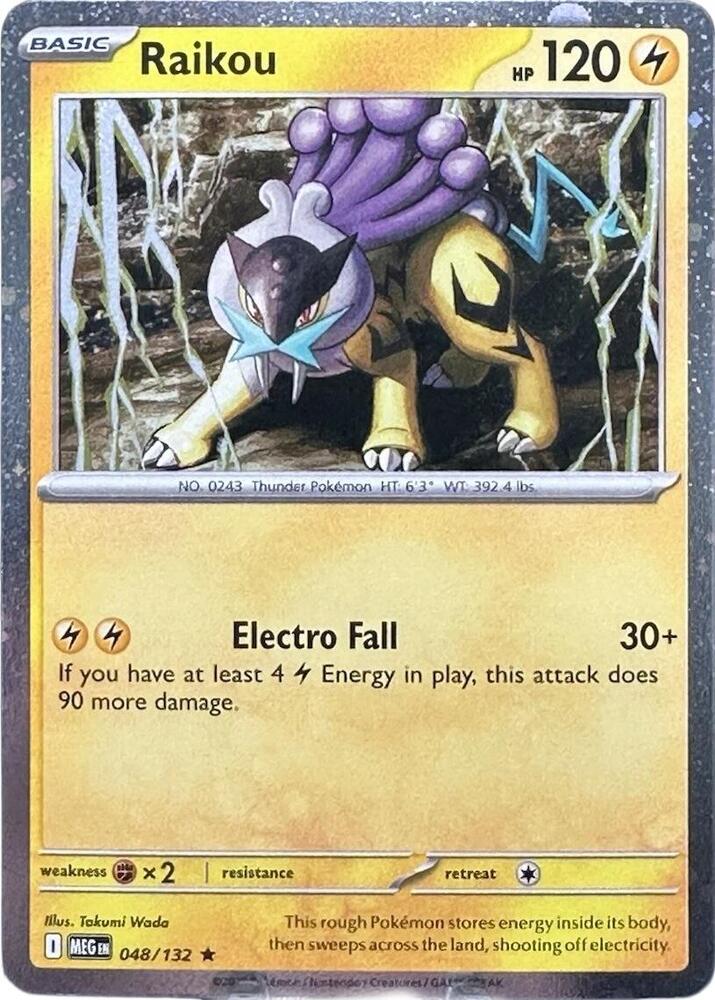 Raikou - 048/132 (Cosmos Holo) [Miscellaneous Cards & Products] 048/132