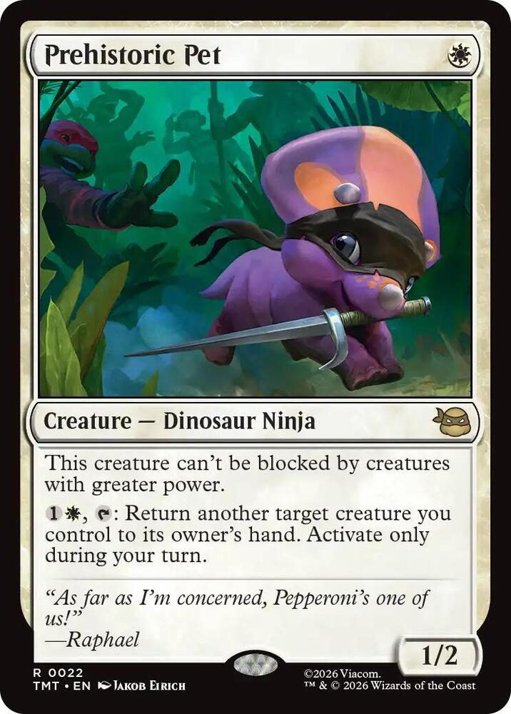 Prehistoric Pet [Teenage Mutant Ninja Turtles] 22