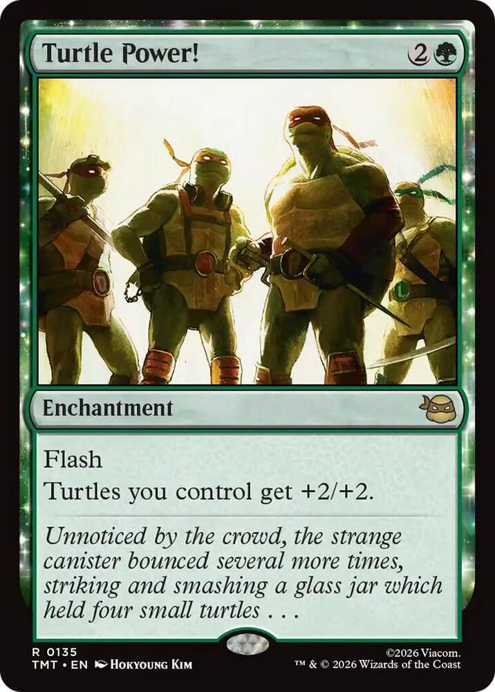 Turtle Power! [Teenage Mutant Ninja Turtles] 135