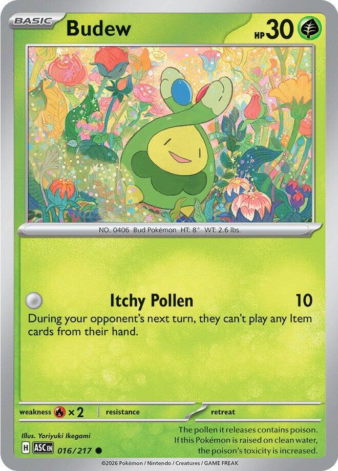 Budew - 016/217 [ME: Ascended Heroes] 016/217
