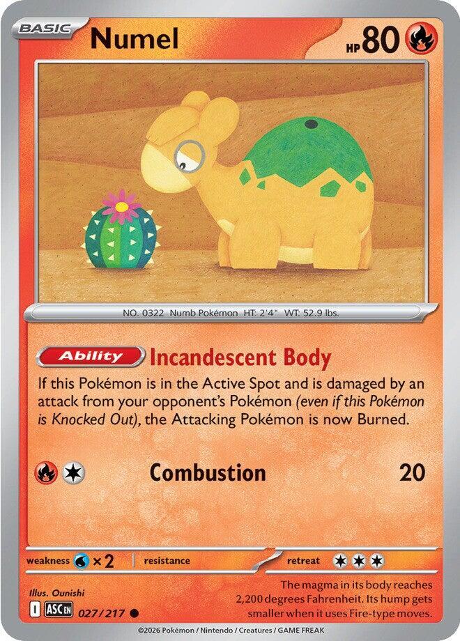 Numel - 027/217 [ME: Ascended Heroes] 027/217