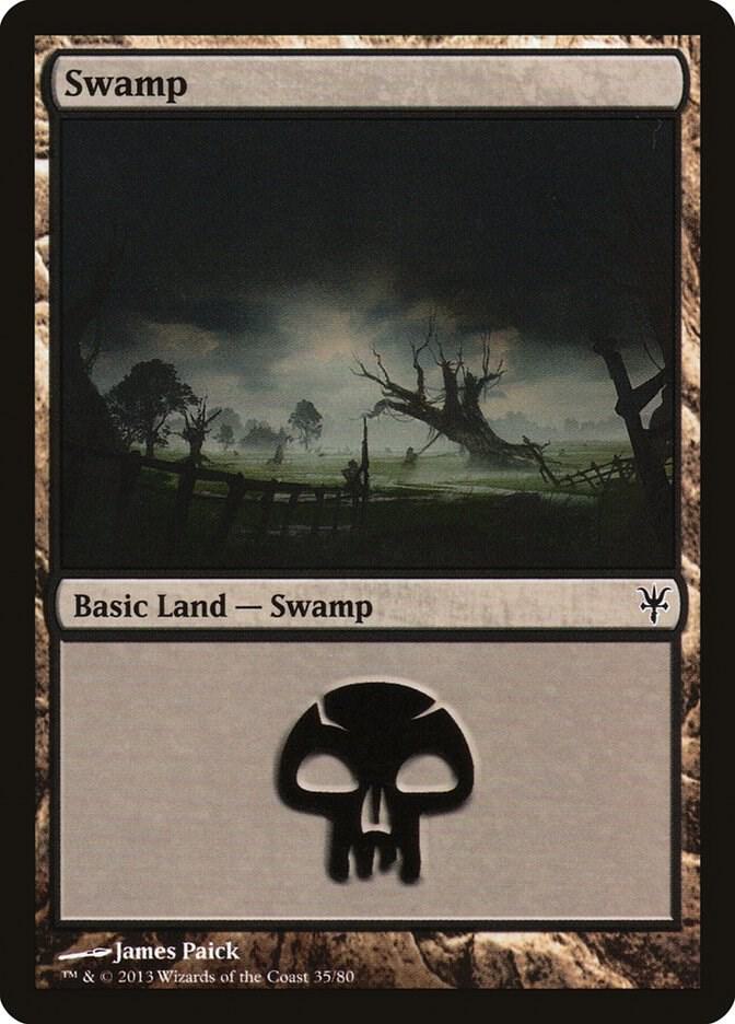 Swamp (35) [Duel Decks: Sorin vs. Tibalt] 35