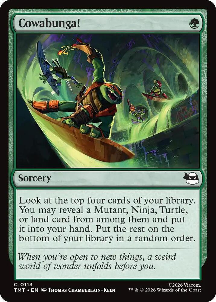 Cowabunga! [Teenage Mutant Ninja Turtles] 113