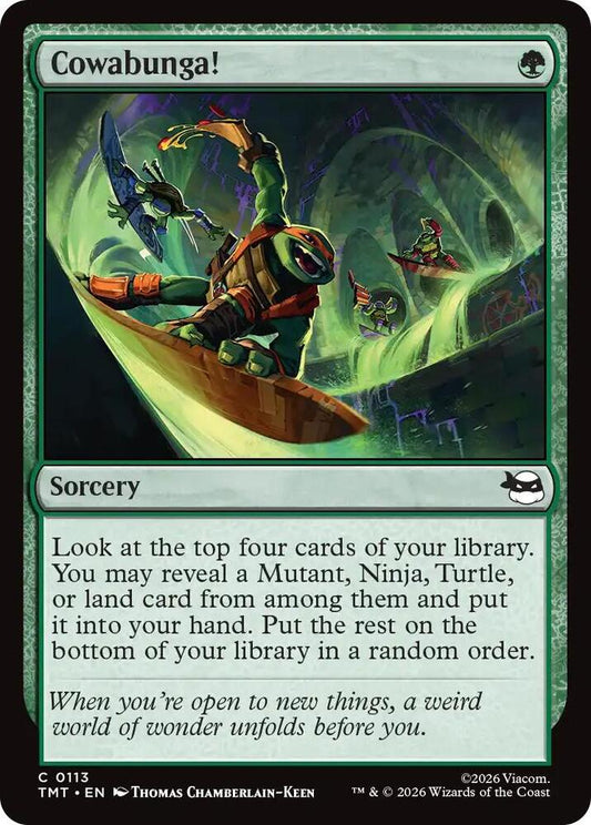 Cowabunga! [Teenage Mutant Ninja Turtles] 113