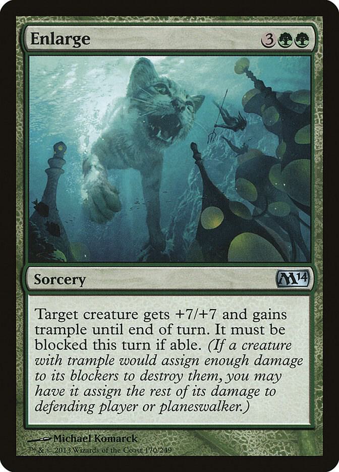 Enlarge [Magic 2014 (M14)] 170