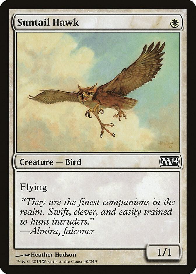 Suntail Hawk [Magic 2014 (M14)] 40