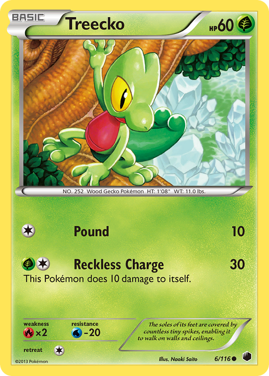 Treecko - 6/116 Plasma Freeze