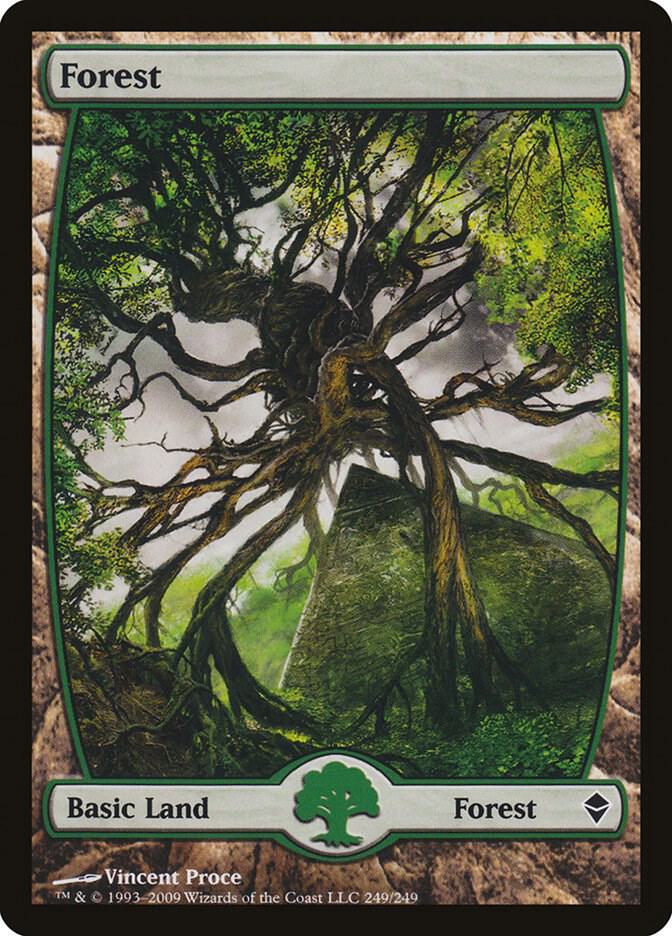 Forest (249) - Full Art [Zendikar] 249
