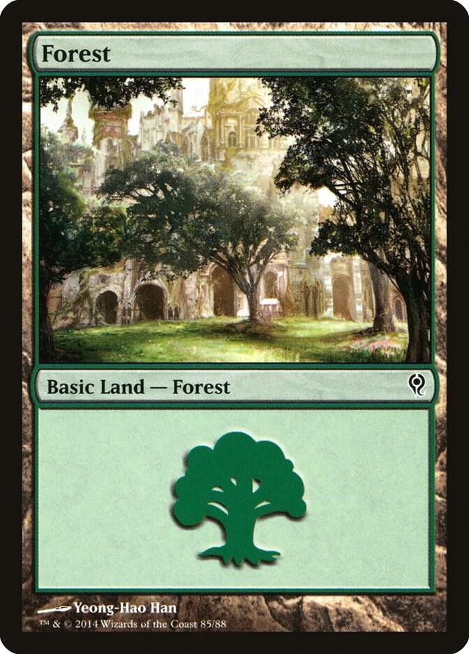 Forest (85) [Duel Decks: Jace vs. Vraska] 85