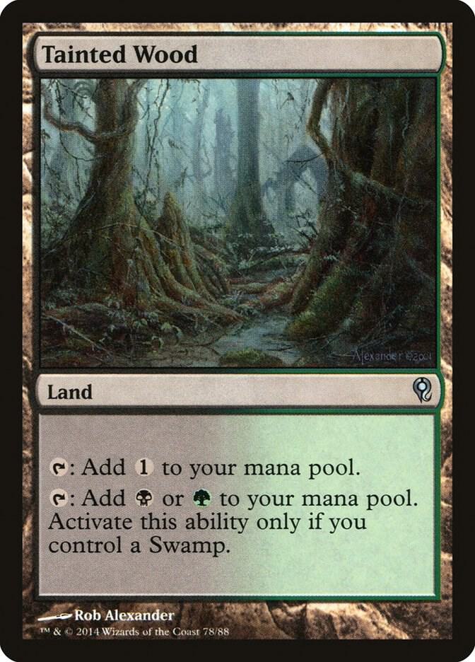 Tainted Wood [Duel Decks: Jace vs. Vraska] 78