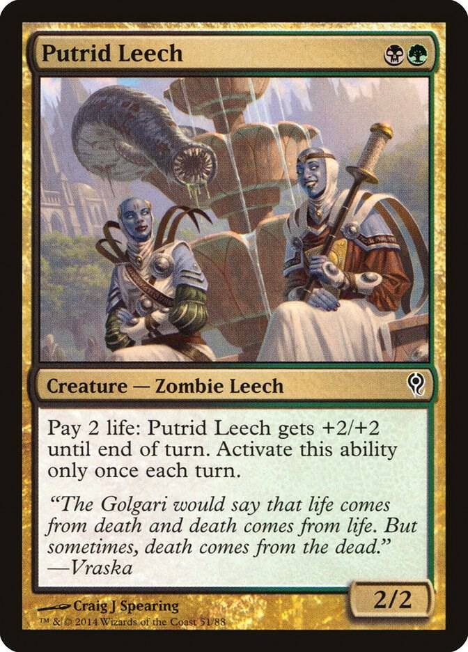 Putrid Leech [Duel Decks: Jace vs. Vraska] 51