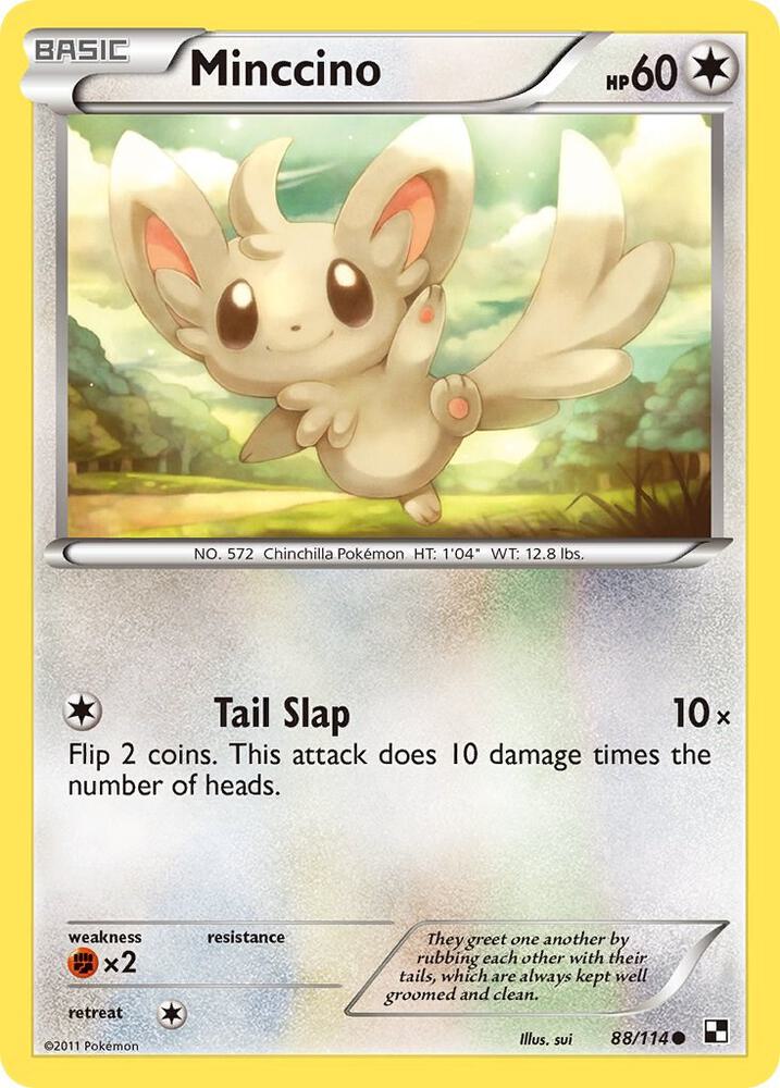 Minccino [Black and White] 88/114