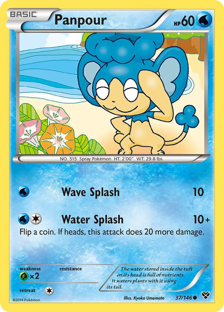 Panpour [XY Base Set] 37/146