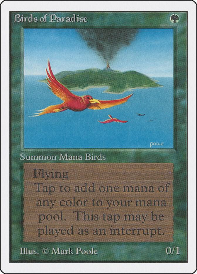 Birds of Paradise [Unlimited Edition]