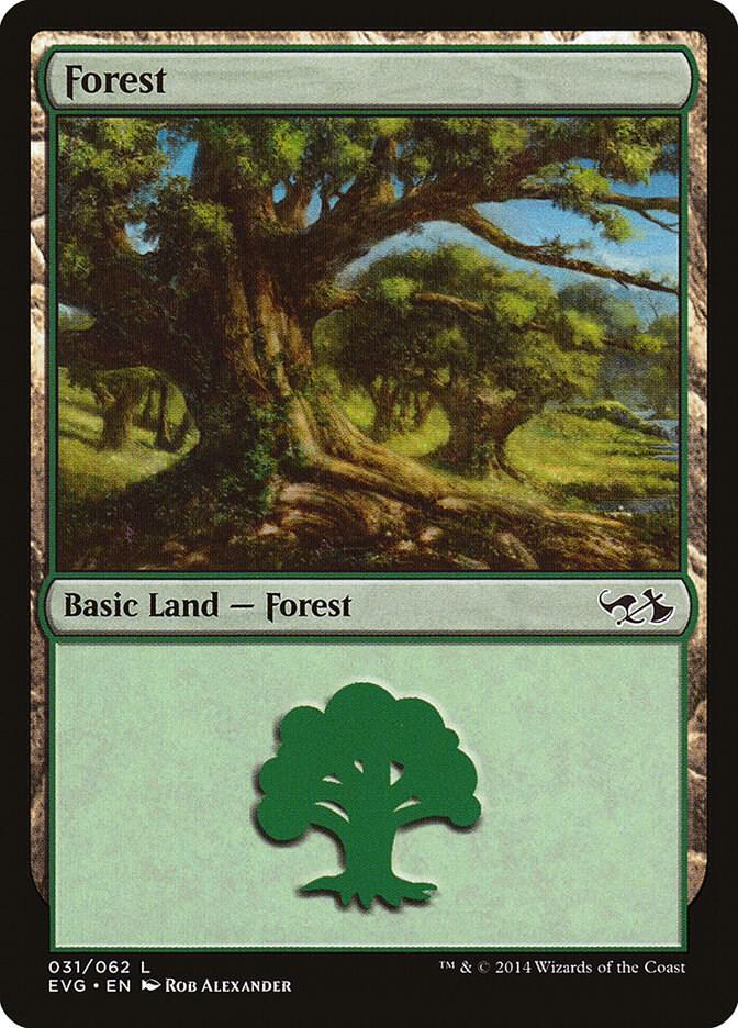 Forest (031) (EVG) [Duel Decks: Anthology] 31