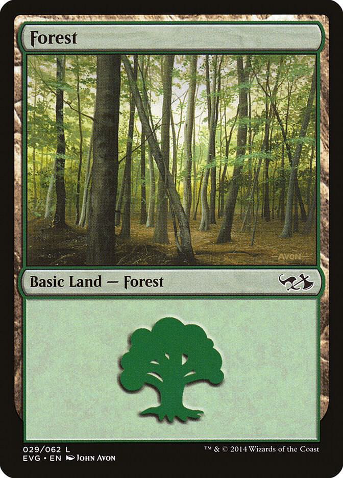 Forest (029) (EVG) [Duel Decks: Anthology] 29
