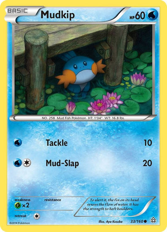 Mudkip [XY - Primal Clash] 33/160