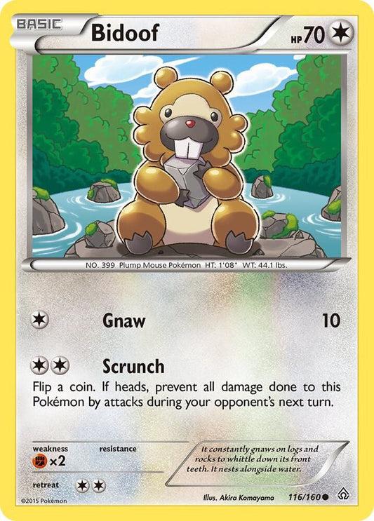 Bidoof [XY - Primal Clash] 116/160