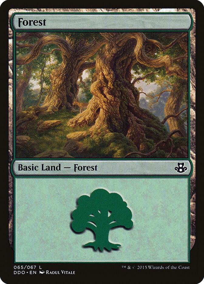 Forest (065) [Duel Decks: Elspeth vs. Kiora] 65
