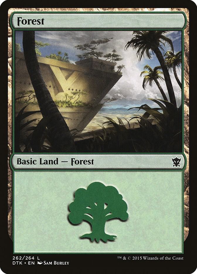 Forest (262) [Dragons of Tarkir] 262
