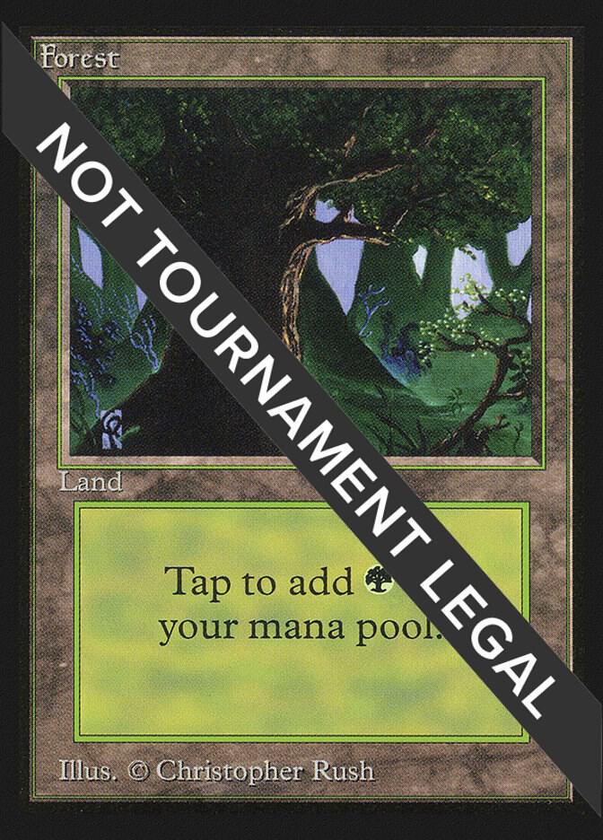 Forest (C) (IE) [International Edition] 282