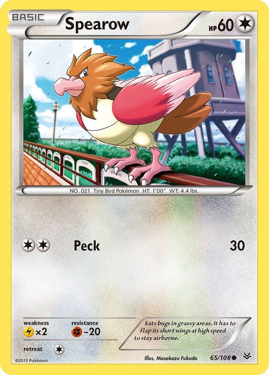 Spearow [XY - Roaring Skies] 65/108