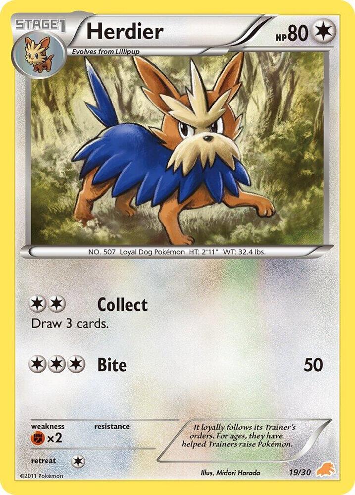 Herdier [BW Trainer Kit: Excadrill & Zoroark] 19/30
