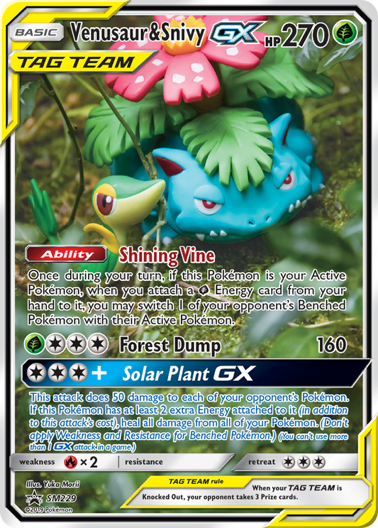 Venusaur & Snivy-GX - SM229/248 SM Black Star Promos