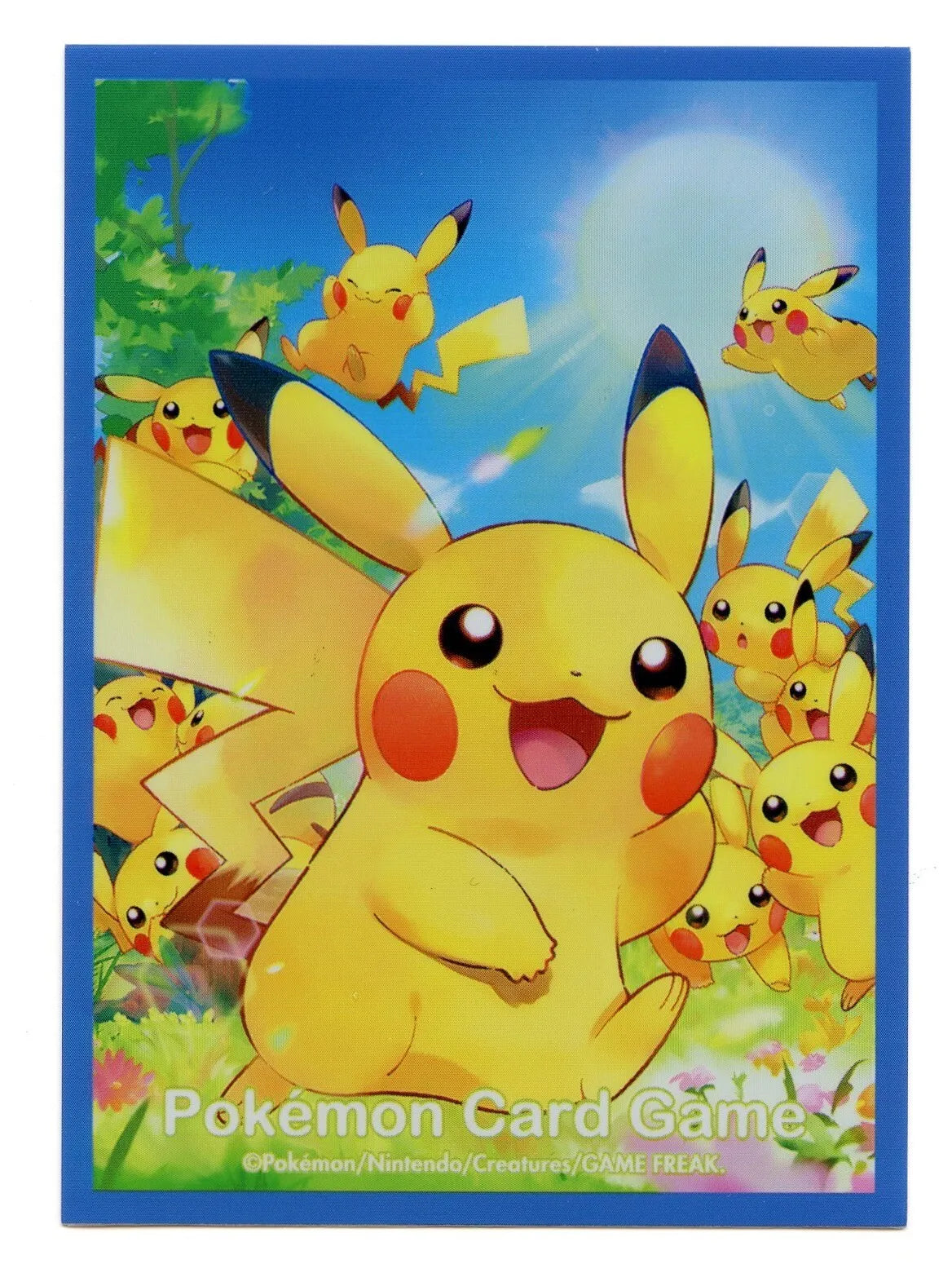 Many Pikachus Sleeves Pokemon Center Japan